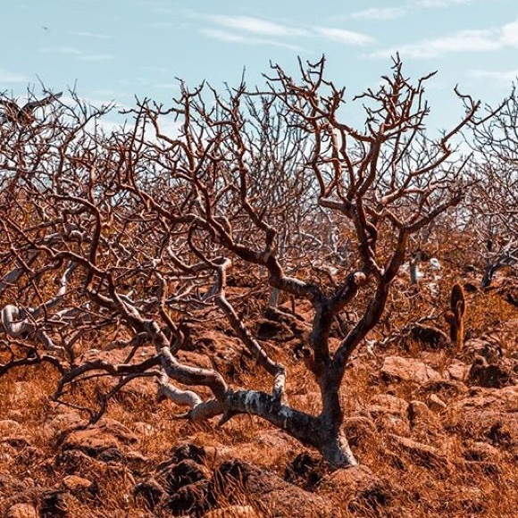 Meet your Posher, Collin - Picture 1 of 1